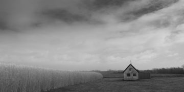The economic effect of the Bracero Program